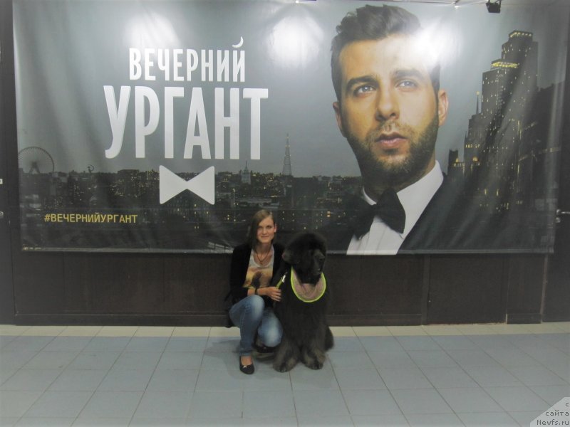 Фотография № 237093