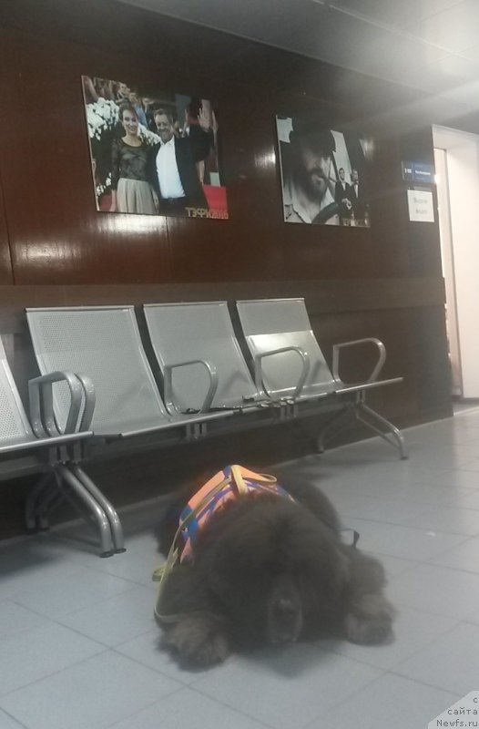 Фотография № 237095