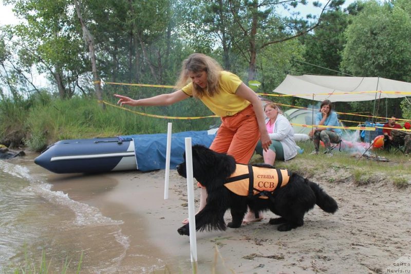 Фотография № 237096