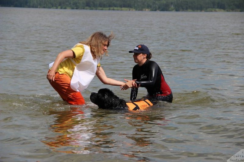 Фотография № 237097