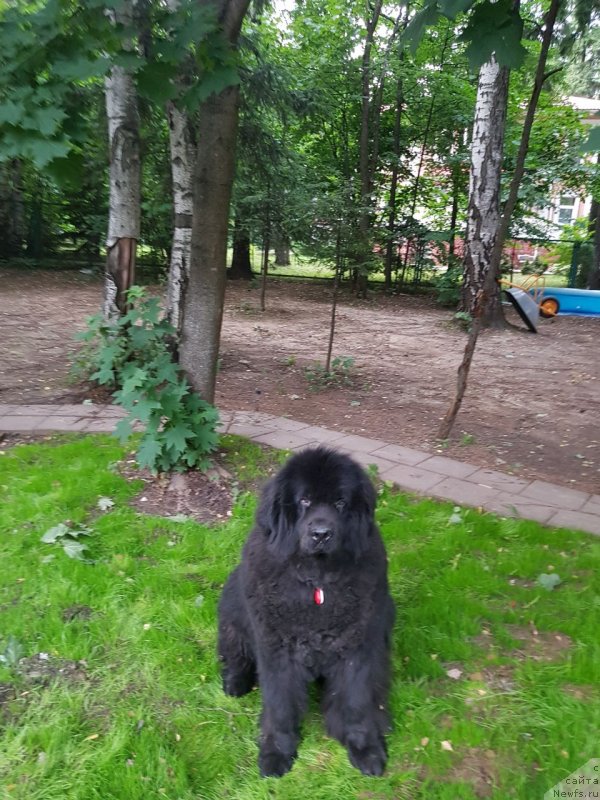 Фотография № 237114