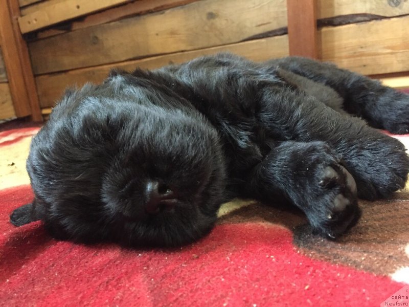 Фотография № 237141