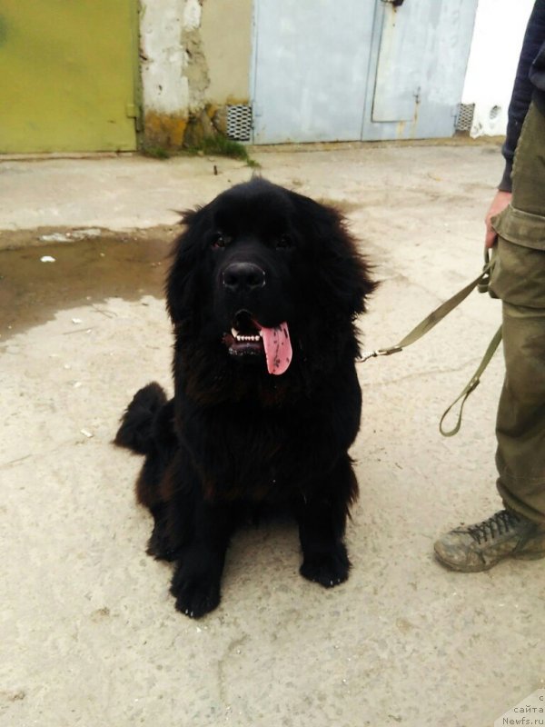 Фотография № 237149