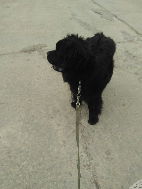 Фотография № 237151