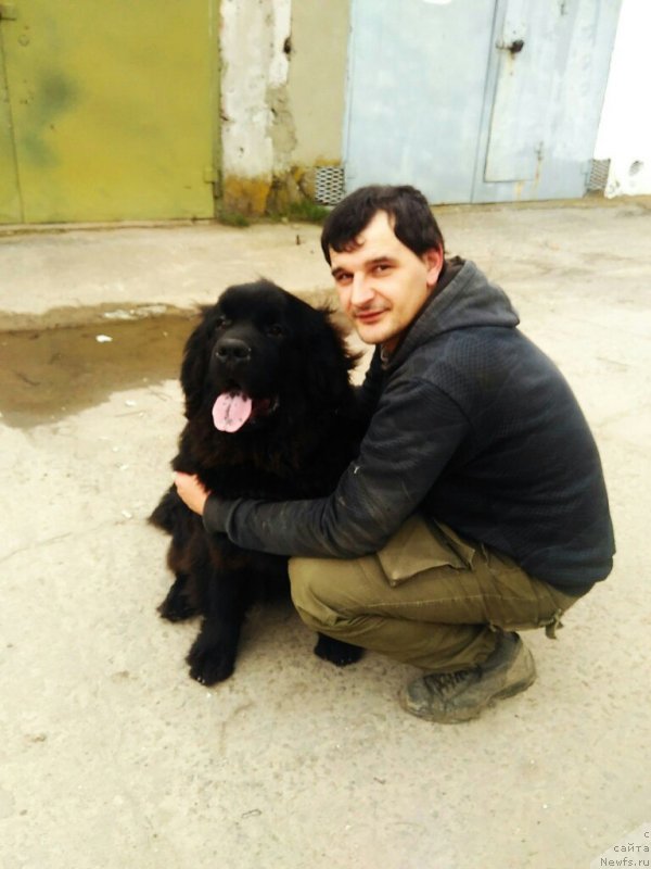 Фотография № 237152