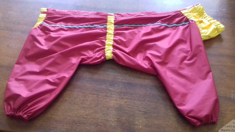 Фотография № 237168