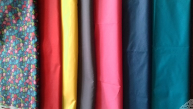 Фотография № 237169