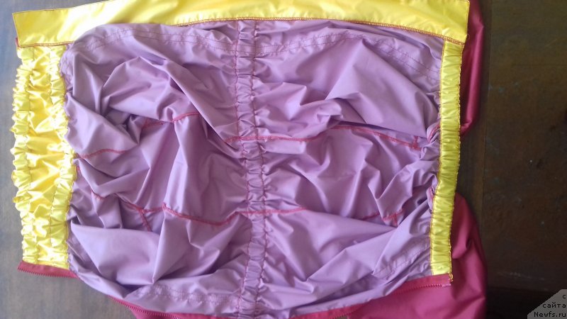 Фотография № 237170