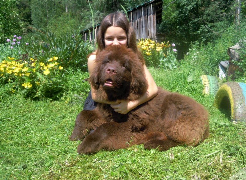 Фотография № 237176