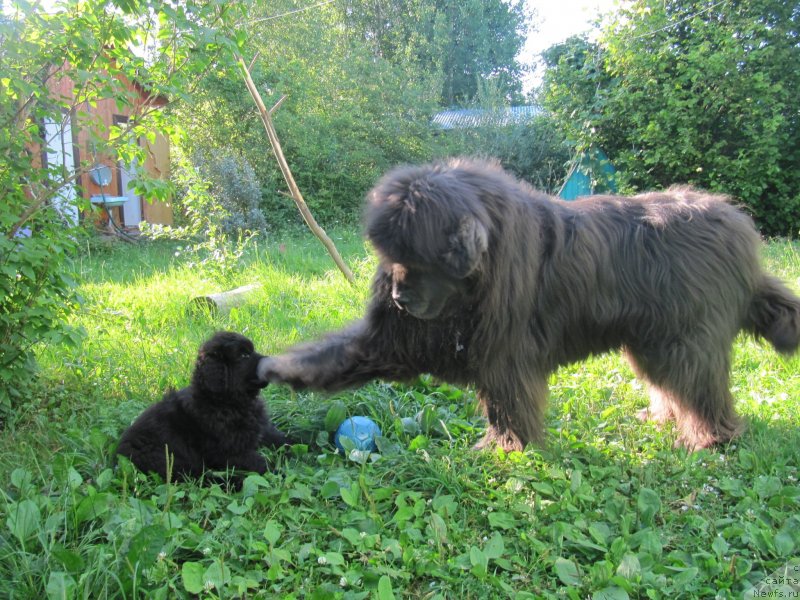 Фотография № 237191