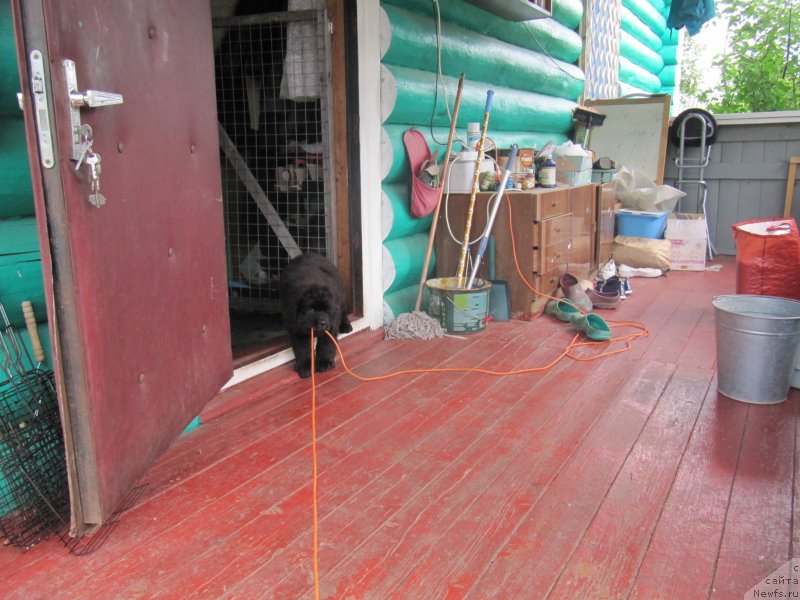 Фотография № 237194