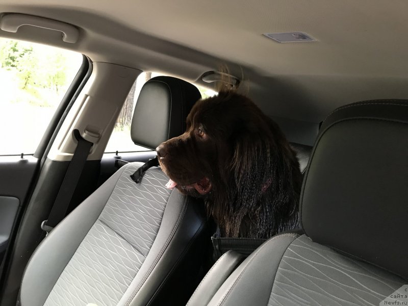 Фотография № 237202