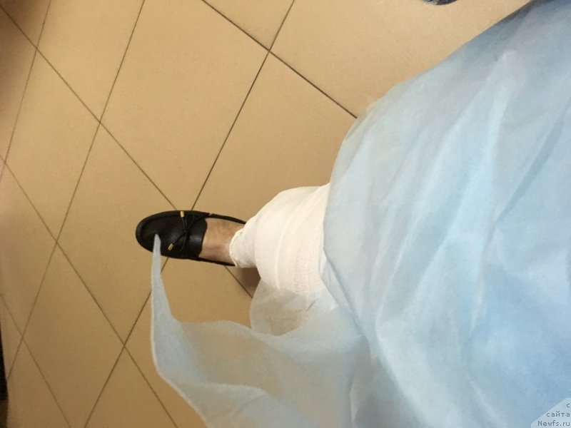 Фотография № 237209