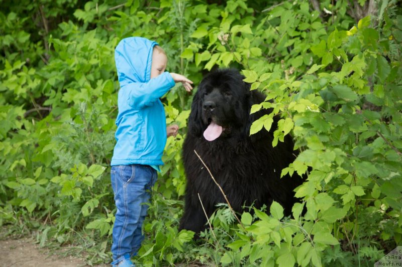 Фотография № 237212