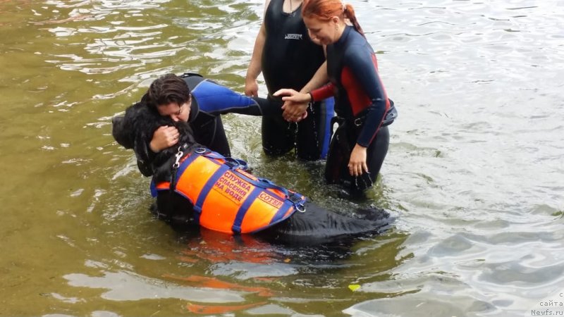 Фотография № 237218