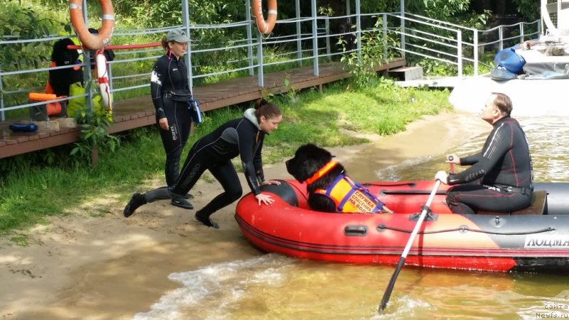 Фотография № 237223