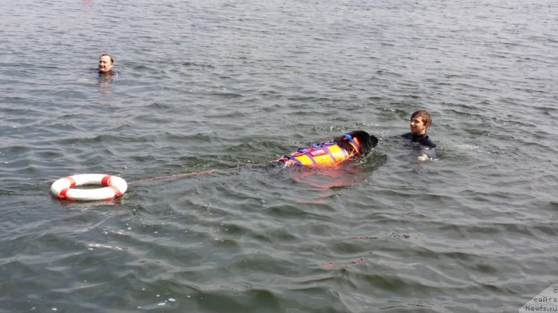 Фотография № 237225