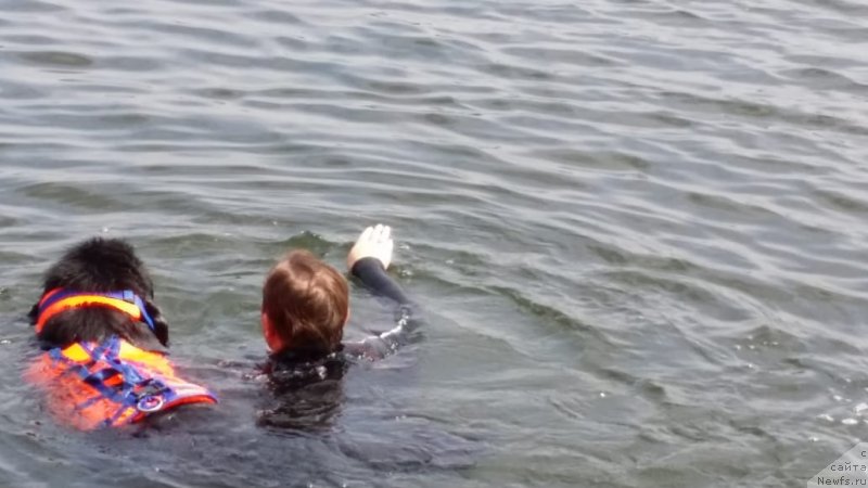 Фотография № 237228