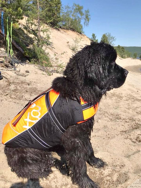 Фотография № 237237