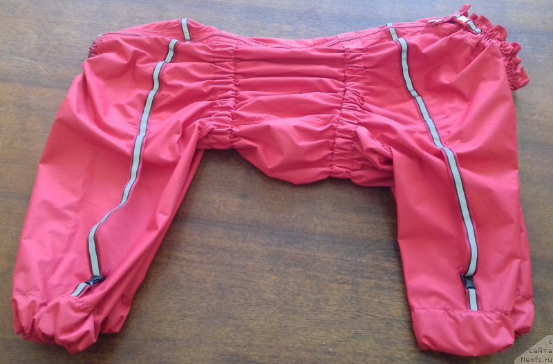 Фотография № 237247