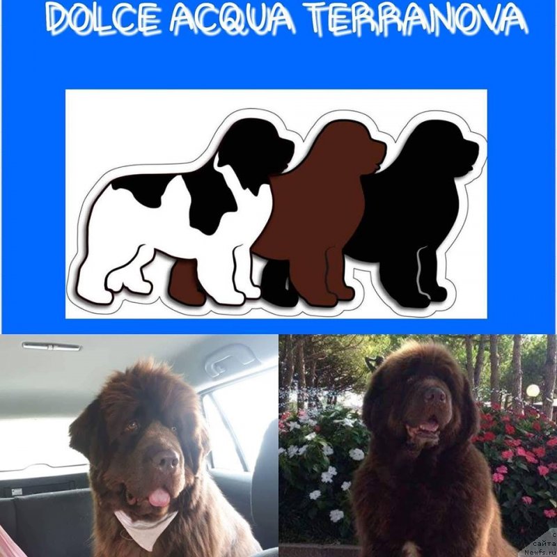 Фотография № 237248