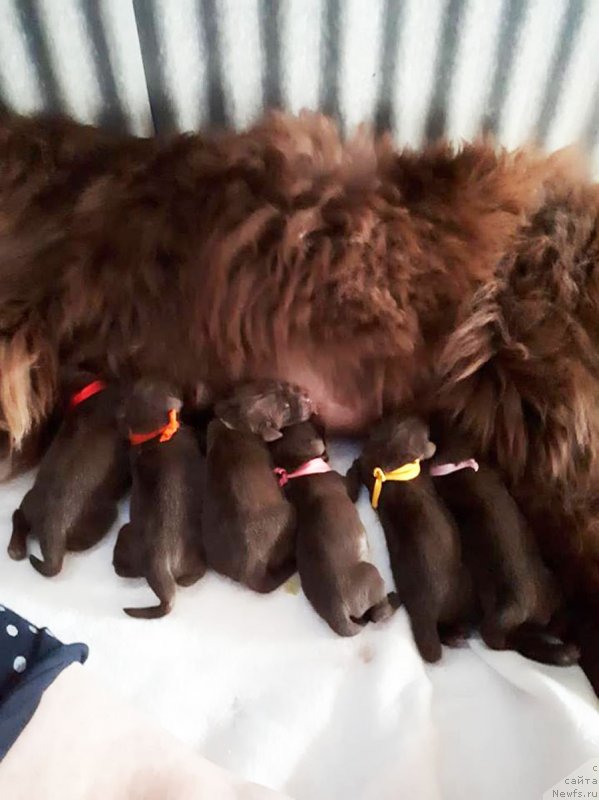 Фотография № 237249