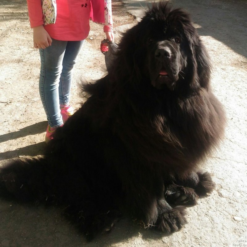 Фотография № 237250