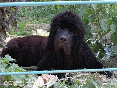 Фотография № 237253