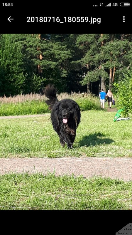 Фотография № 237263