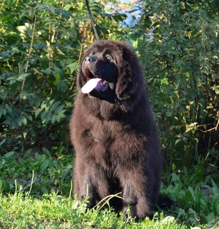 Фотография № 237274