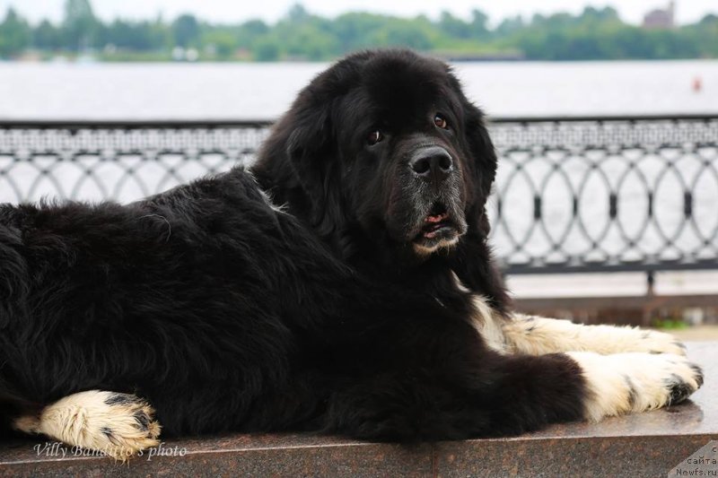 Фотография № 237276