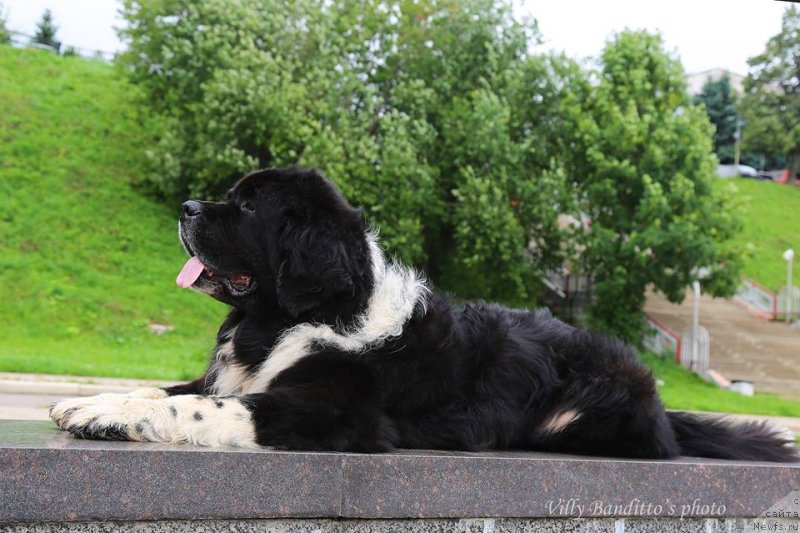 Фотография № 237278