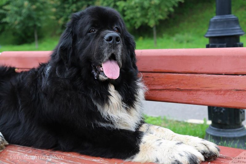 Фотография № 237281