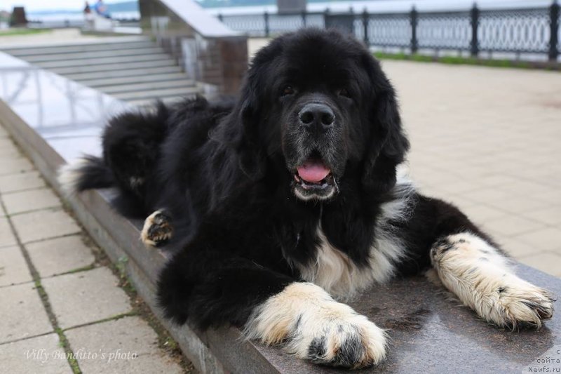 Фотография № 237284