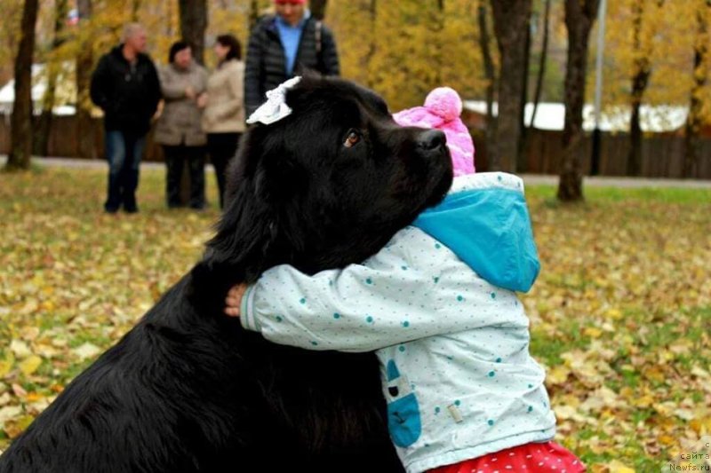 Фотография № 237309