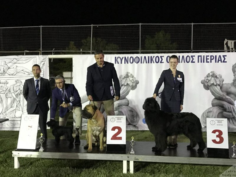 Фотография № 237314