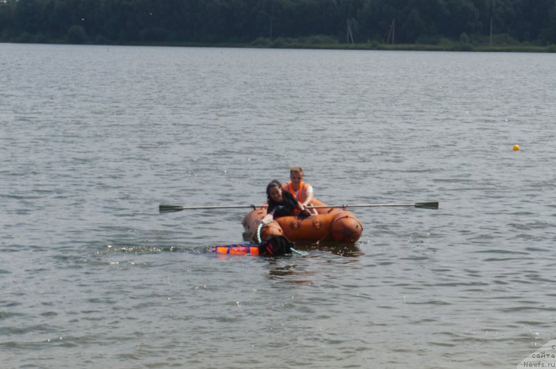 Фотография № 237320