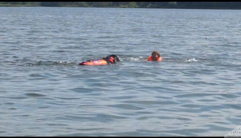 Фотография № 237321