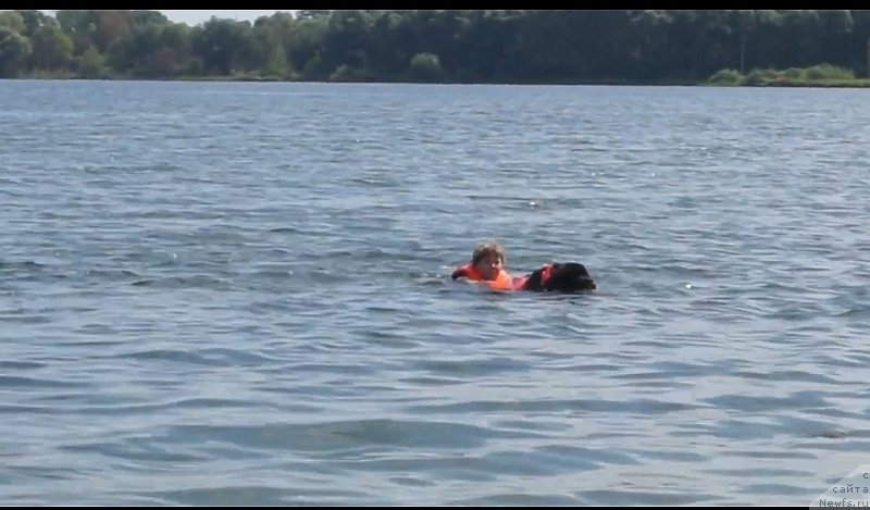 Фотография № 237322