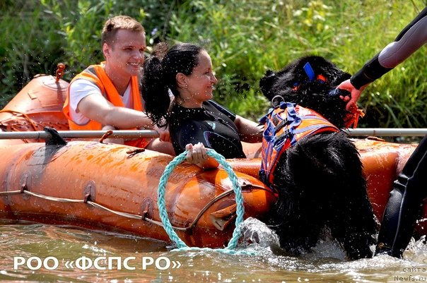 Фотография № 237323