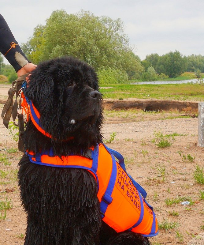 Фотография № 237324