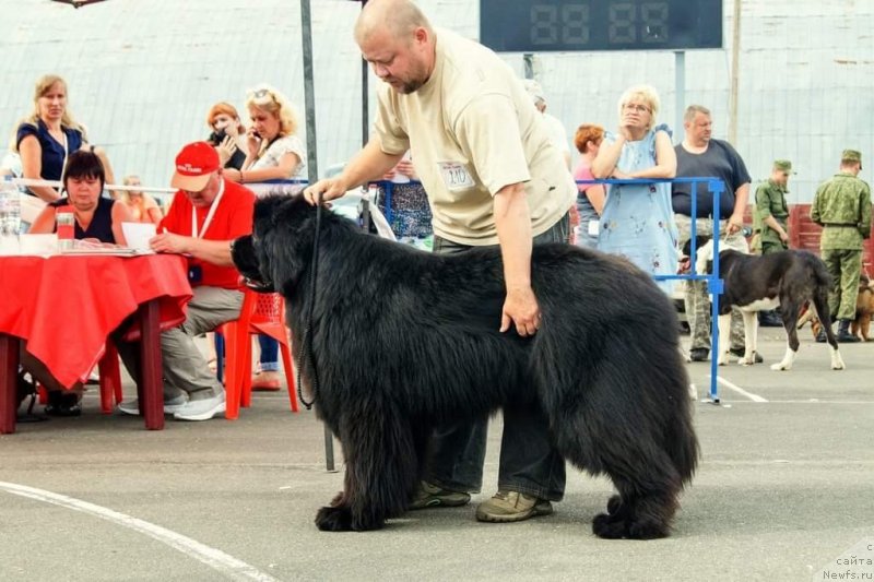 Фотография № 237342