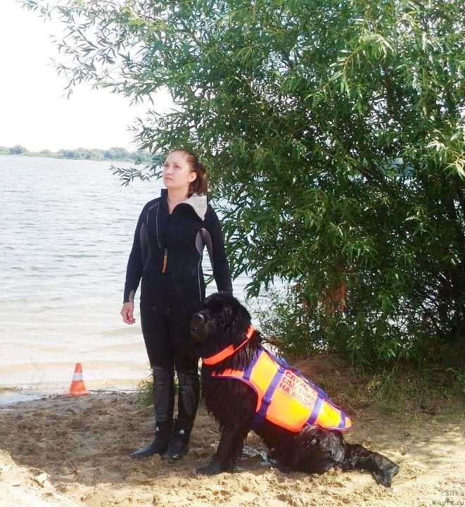 Фотография № 237361