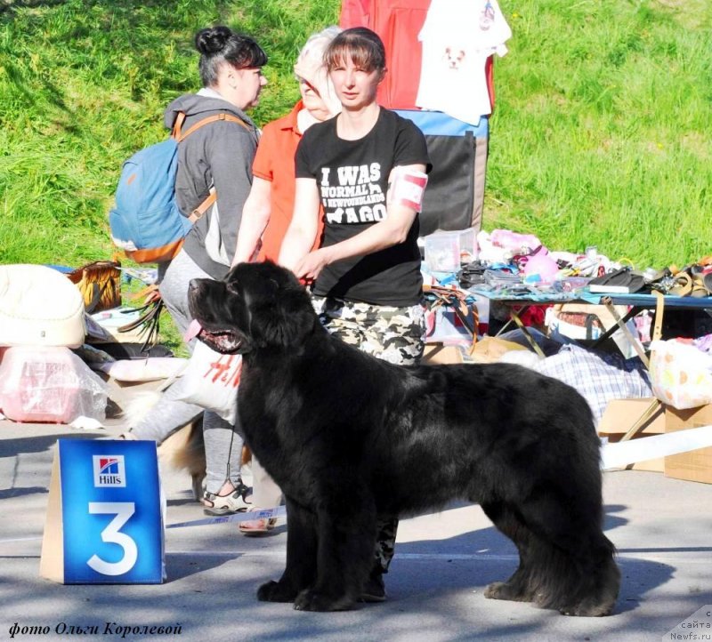 Фотография № 237364