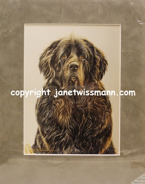 Фотография № 237367