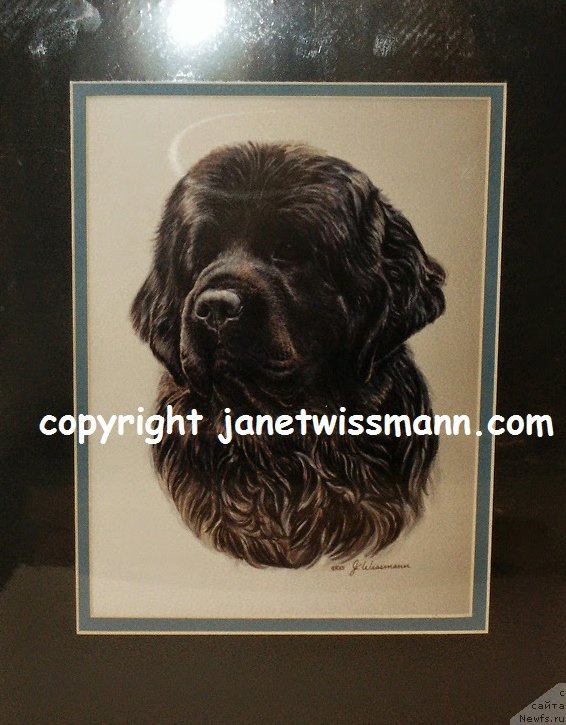 Фотография № 237368