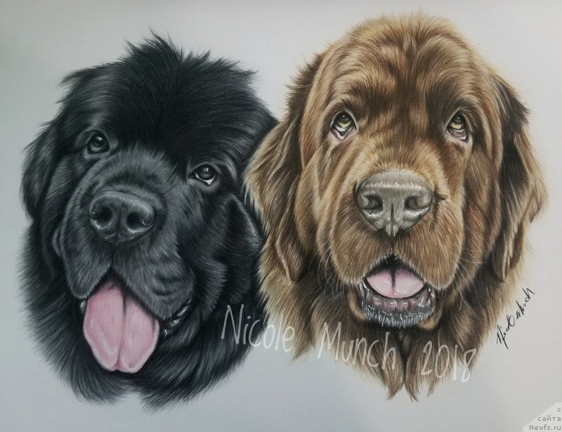 Фотография № 237377