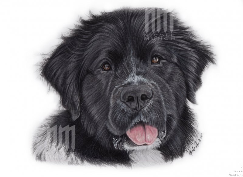 Фотография № 237378