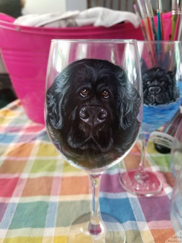 Фотография № 237383