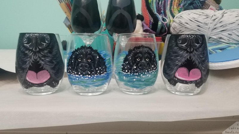 Фотография № 237385